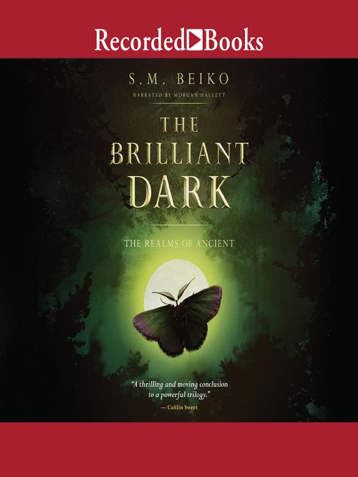 Title details for The Brilliant Dark by S.M. Beiko - Wait list